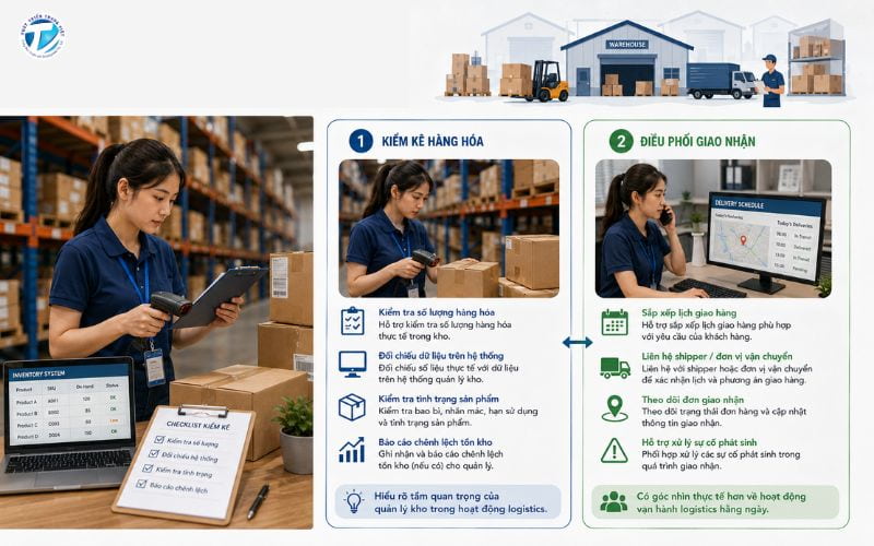 Thực tập sinh logistics hỗ trợ bộ phận kho vận